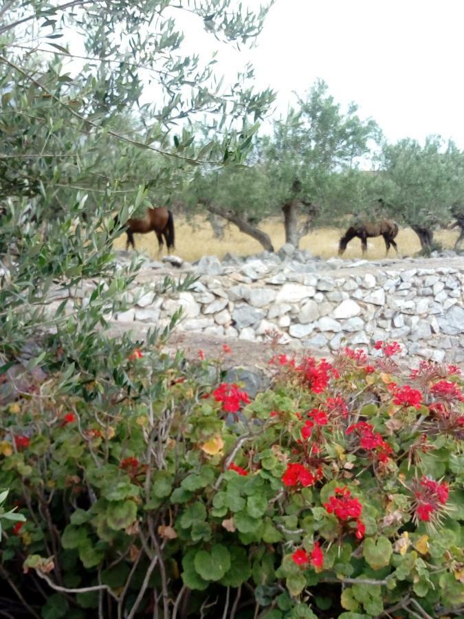 Charouda Stone Tower Apartment Pyrgos Dirou Exterior photo